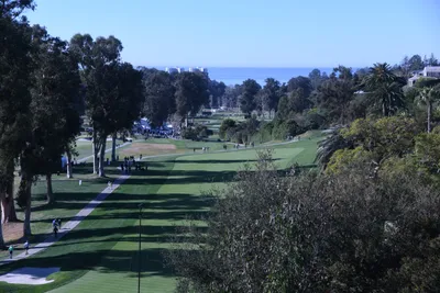 DSC_0720 (Large).JPG